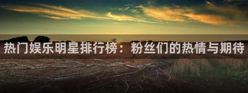 美狮贵宾会登录中心：热门娱乐明星排行榜：粉丝们的热情与期待