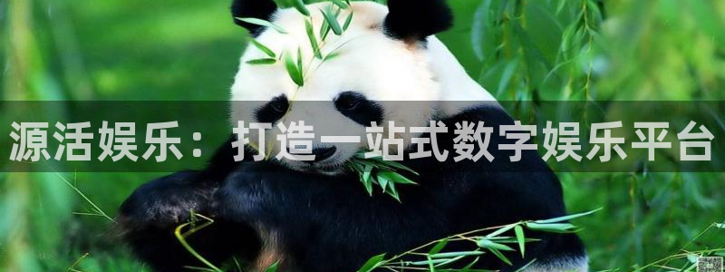 美狮贵宾会官网：源活娱乐：打造一站式数字娱乐平台