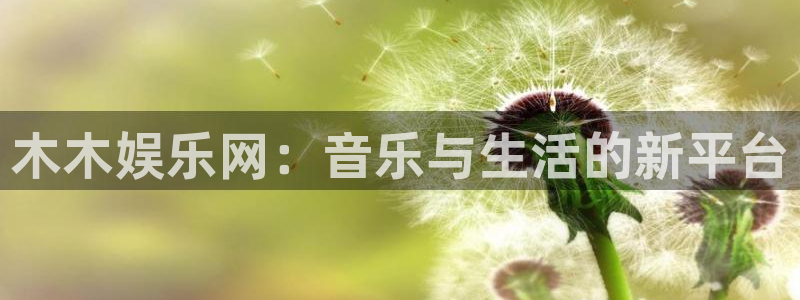 美狮贵宾会：木木娱乐网：音乐与生活的新平台