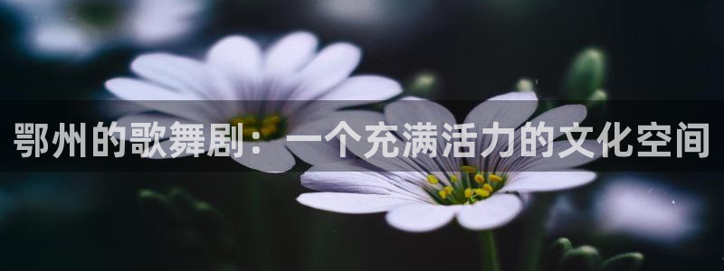 美狮贵宾会ms092021：鄂州的歌舞剧：一个充满活力的文化空间