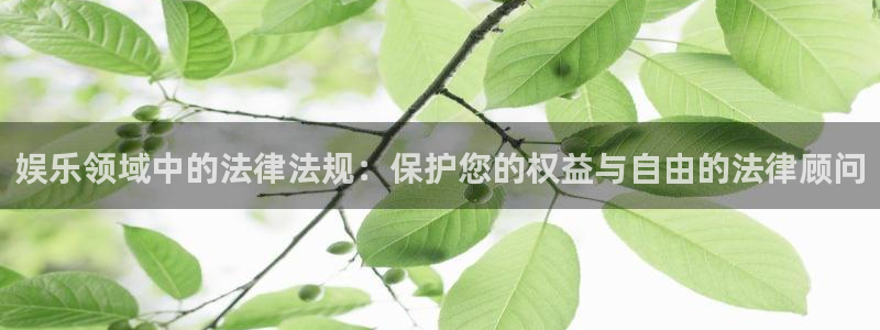 美狮贵宾会登录中心：娱乐领域中的法律法规：保护您的权益与自由的法律顾问