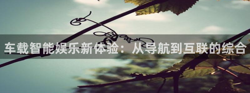 美狮贵宾会登录中心：车载智能娱乐新体验：从导航到互联的综合