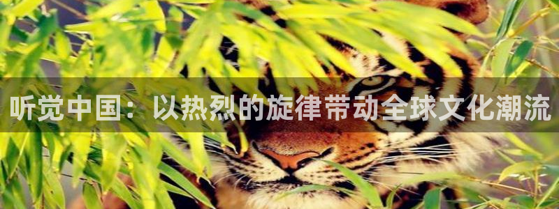 美狮贵宾会会员登录：听觉中国：以热烈的旋律带动全球文化潮流