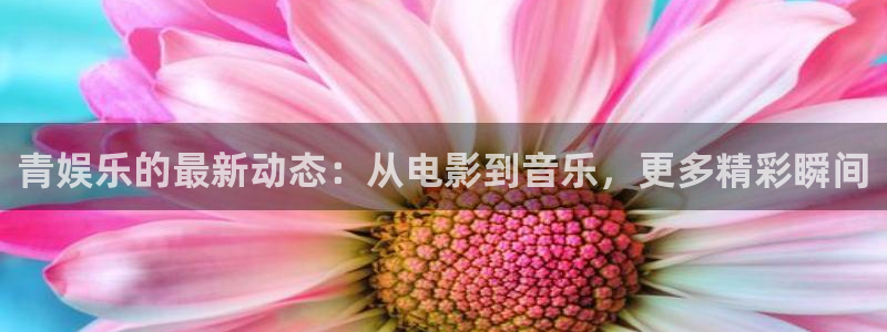美狮贵宾会0923344：青娱乐的最新动态：从电影到音乐，更多精彩瞬间